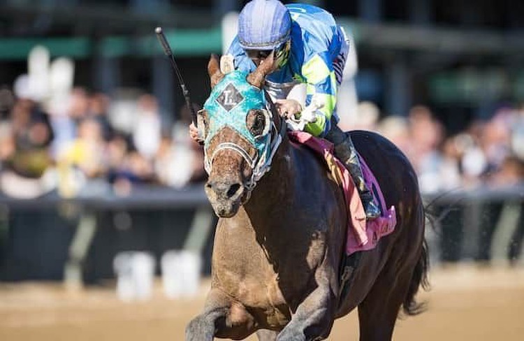 Zipse: 1-turn Cigar Mile should suit Señor Buscador