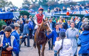Topics: Breeders' Cup Turf, Pat Eddery, Clive Brittain, Sheikh Mohammed, Pebbles, Champions Stakes, Aqueduct Race Track, Breeders' Cup, Breeders' Cup Challenge Series