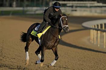 2023 Kentucky Derby best bets and odds to win