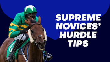 2023 Supreme Novices' Hurdle Tips: Rounding up the tips for the Cheltenham opener