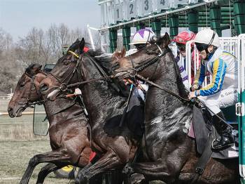 5 Horse Racing Betting Strategies for Novices