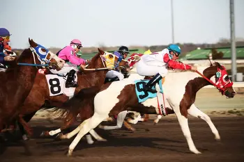7 Steps To Master Online Horse Racing Betting In Michigan