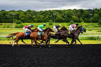 8 Different Types of Horse Races