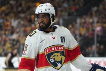 Anthony Duclair bet on himself. Now the Panthers are betting on him in the Stanley Cup Final