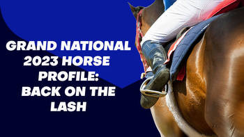 Back On The Lash Grand National Odds & Betting Profile