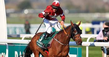 Majority of punters want to see Tiger Roll run in Grand National and believe Michael O'Leary was wrong to pull him from race
