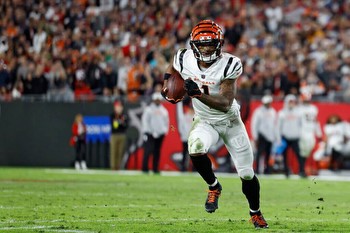Bengals at Patriots spread, line, picks: Expert predictions for Week 16 NFL game