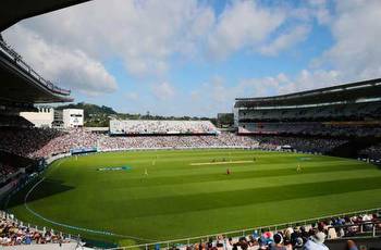 Best Cricket Betting Sites in New Zealand