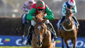 bet365 Gold Cup: Horse-by-horse guide and tips for Sandown Park on Saturday April 23