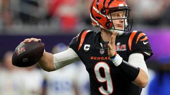 Betting the NFL Line: Wild Card Weekend