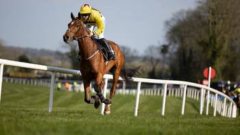 British hopeful Royale Pagaille continues to receive support in Irish Grand National market