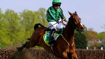 Guinness-loving horse bought for less than price of a cow is on course for Cheltenham Gold Cup glory on St Patrick’s Day