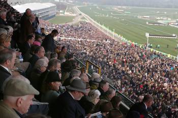 Cheltenham 2016 races: Results, winners, racecard and betting odds
