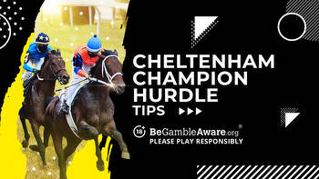 Cheltenham Champion Hurdle betting preview: Tips and best odds