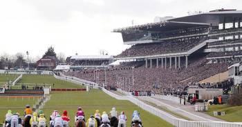 Cheltenham Festival 2020 lingo explained and terms you may hear at the Gold Cup