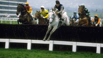 Cheltenham Festival 2023: What grey horses are running and odds