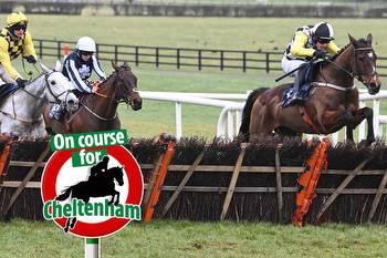Cheltenham Festival ante post tip: This novice could be at least half his 16/1 price come the Albert Bartlett