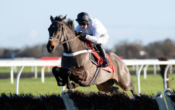 Constitution Hill next race: When is the Champion Hurdle?