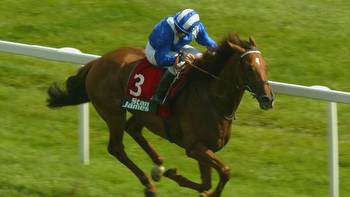 David Ord talks to Marcus Tregoning about Mubtaker and Unfuwain in the Arc