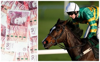 Devastated punter claims he's missed out on £700,000 after horse disqualification