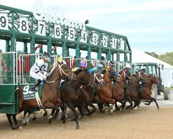 Dudes Who Bet Sports 117: Free Oaklawn Park PICKS for Opening Weekend