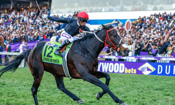 Durban July: Preview And Betting Guide