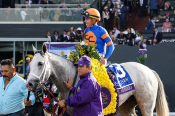 DWBS 166: Stories from the Breeders' Cup + College Football & NFL Picks