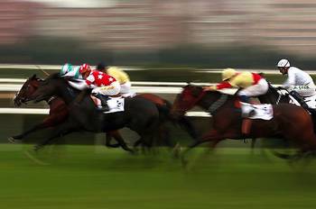 Ensuring a Fair and Secure Betting Experience: Why Safety Matters in Online Horse Race Betting