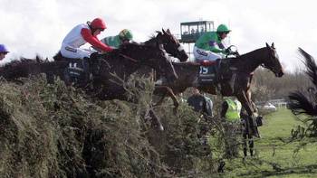 Fancy an outsider? Our experts give their best Grand National longshots