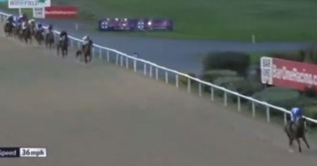 'Farcical' horse race results in 12 of 14 jockeys suspended as footage stuns punters