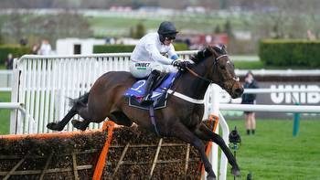 Fighting Fifth Hurdle: Constitution Hill produces 'freak' victory at Newcastle to kickstart Champion Hurdle dream