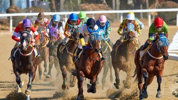 Five Horse Race Betting Tips for Beginners