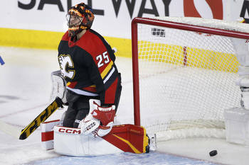 Flames vs Senators Prediction 🏒 NHL Picks & Odds (Feb 13)
