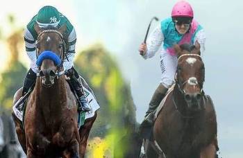 Flatter: Comparing Flightline with Frankel is fraught with peril