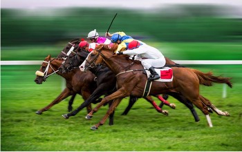 From Novice to Pro: Horse Race Tips for Every Bettor