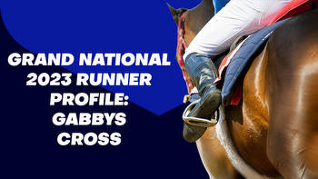 Gabbys Cross Grand National Odds & Betting Profile