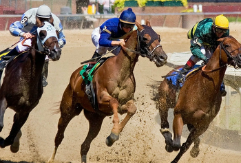 Get to Know the Different Types of Horse Race Bets