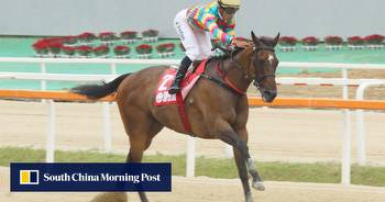 Glass half full: The Korea Racing Authority has its issues, but there’s plenty of upside