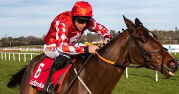 Gordon Elliott pays tribute to Mighty Potter after top young chaser suffers fatal injury