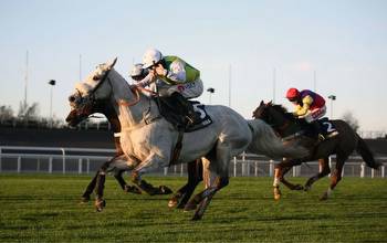 Grand National Betting Tips: 16/1 punts top Tipman's selections
