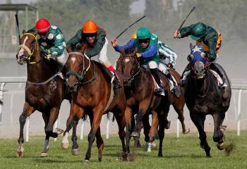 Guide for Horse Betting Success: Unveiling Proven Strategies and Tips