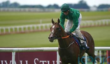 HMS Seahorse sets sail for Curragh riches later today