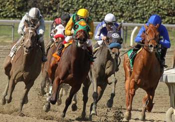 Hollywood Horse Racing and Sports Betting: A Comprehensive Guide