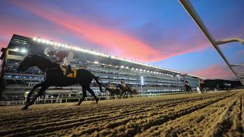 Horse Racing: Inside the world of South Korean horse racing