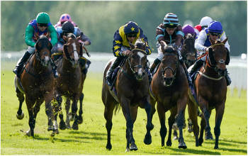 Horse Racing Tips: A 14/1 shout tops Tipman's best bets today