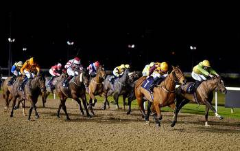 Horse Racing tips: Our 3 best bets under the lights tonight
