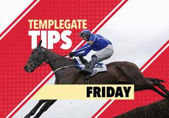 Horse racing tips: Templegate NAP is an improving handicapper who has a big chance at Newcastle