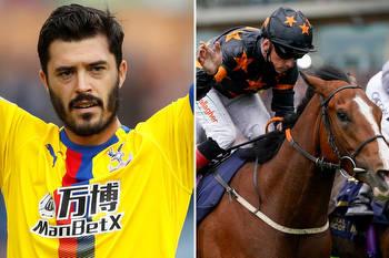 How Crystal Palace star James Tomkins has netted £116,000 in just TWO days from 'massive mistake' racehorse