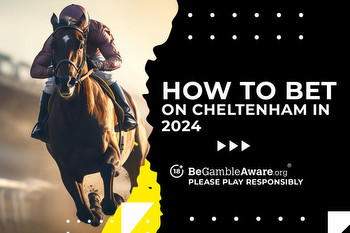 How to bet on Cheltenham: In-depth guide