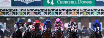 How to Bet on Horse Racing: Beginners Guide to Placing a Bet, Glossary of Terms